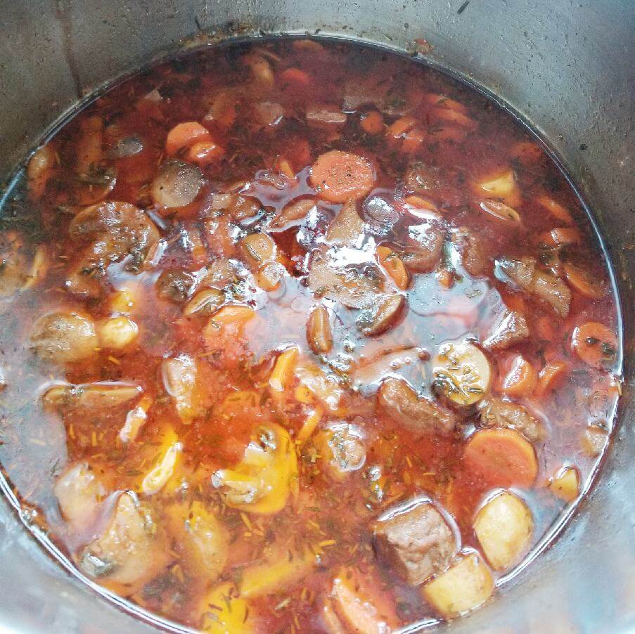 beef and vegetable stew in the instant pot after cooking