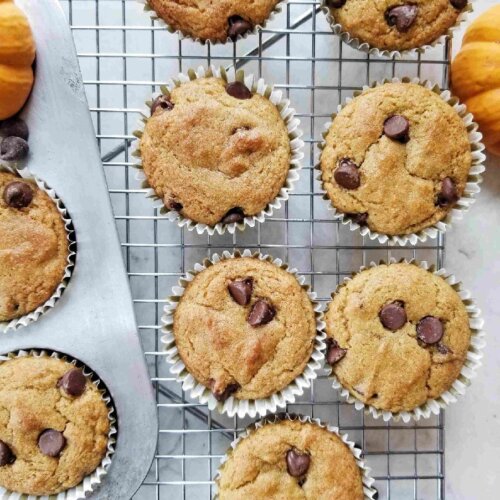 Almond Flour Pumpkin Chocolate Chip Muffins