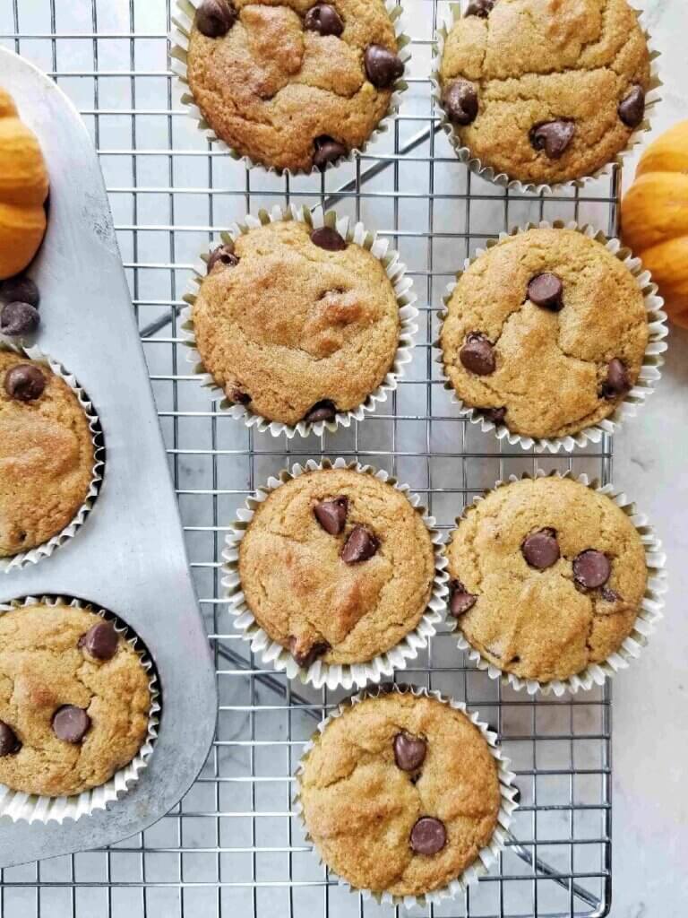 Almond Flour Pumpkin Chocolate Chip Muffins