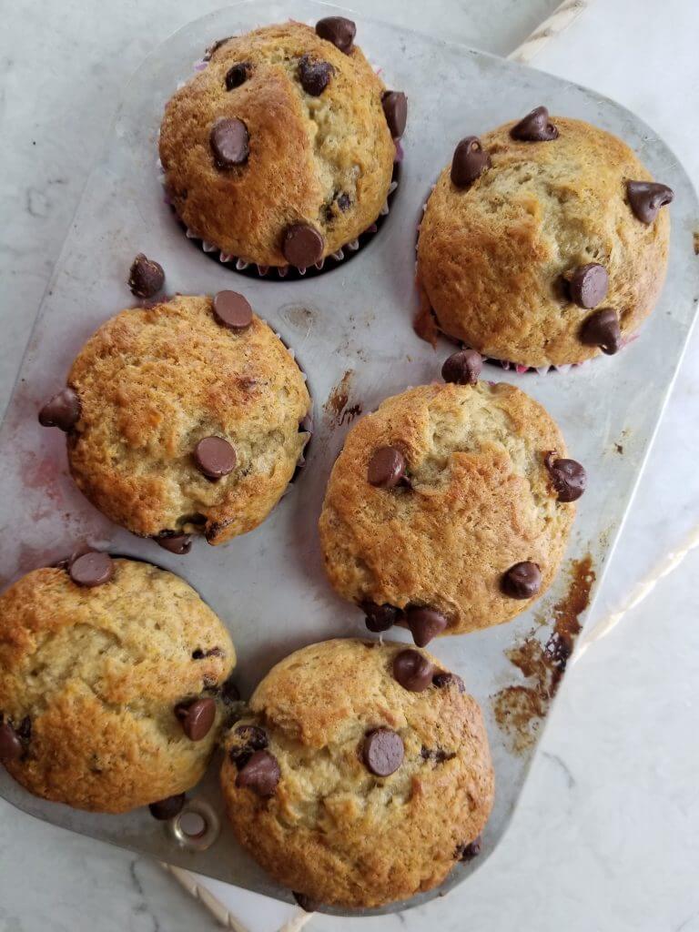sourdough discard banana chocolate chip muffins in a muffin tin