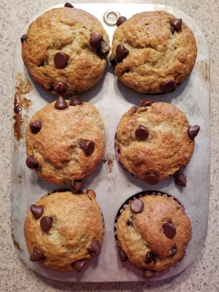 healthy sourdough banana chocolate chip muffin recipe