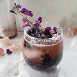 Blackberry Kombucha Mocktail