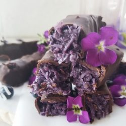 vegan blueberry bounty bars