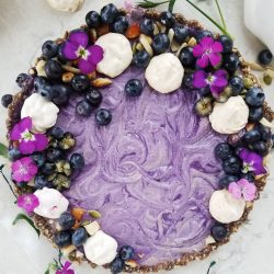 healthy blueberry tart