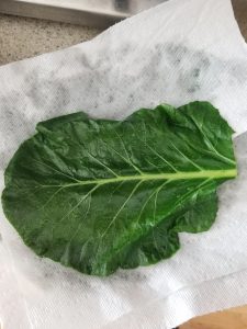 collard green drying on a paper towel