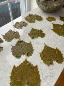 grape leaves from Jordan