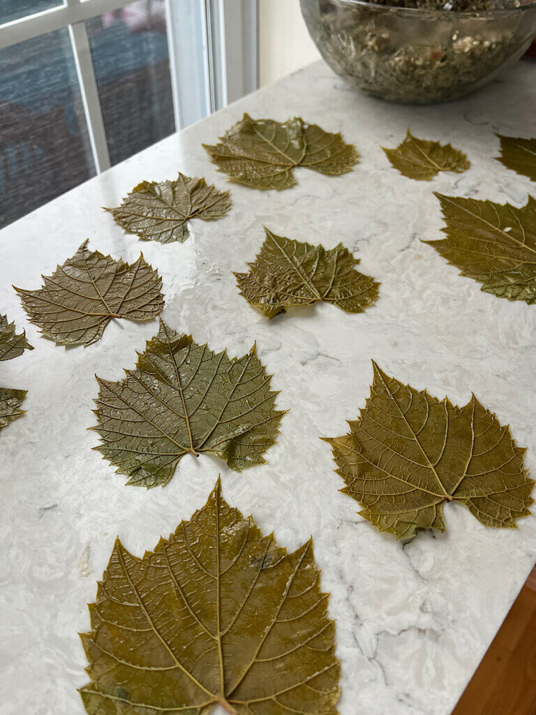 grape leaves from Jordan