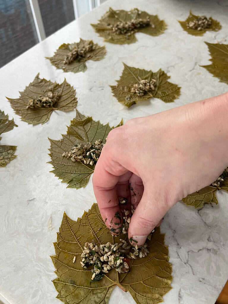 filling grape leaves with vegetarian rice stuffing