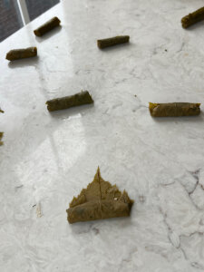 Dwali stuffed grape leaves recipe 5