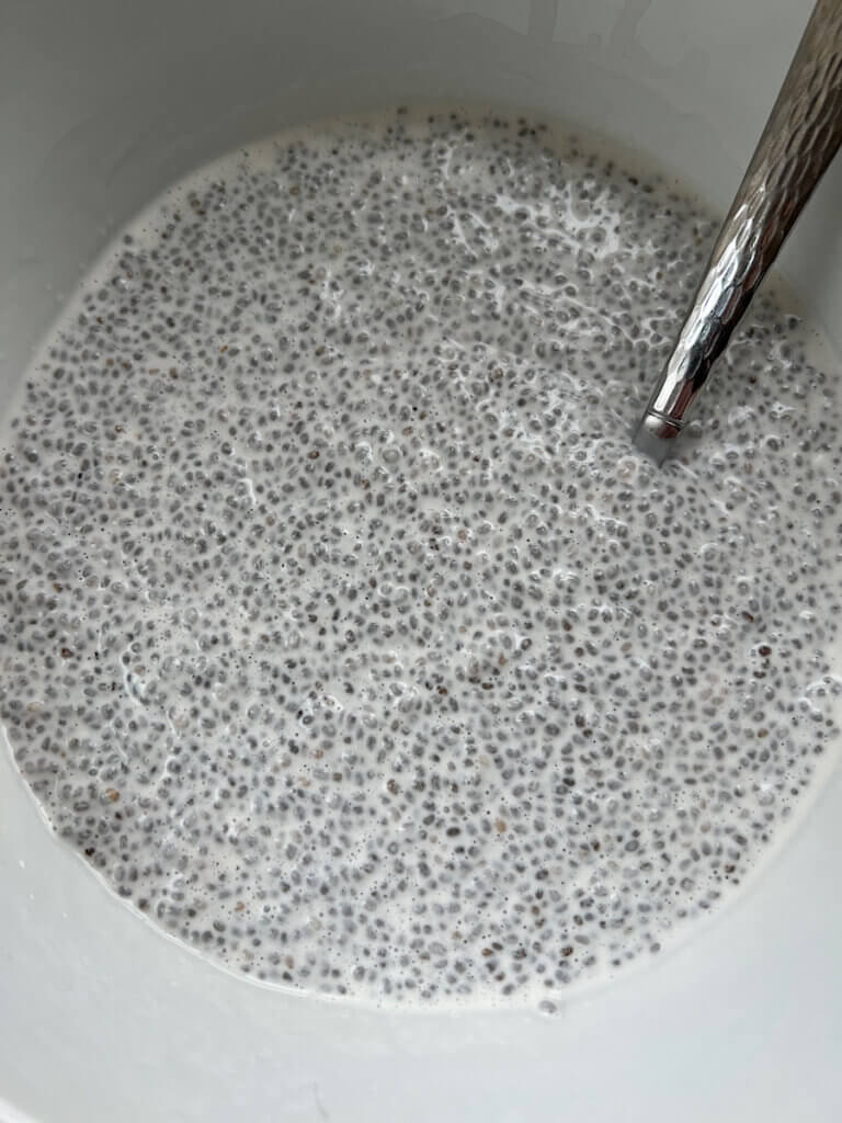 thick chia seed pudding