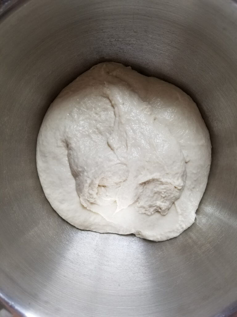 ciabatta bread dough in a bowl before rising
