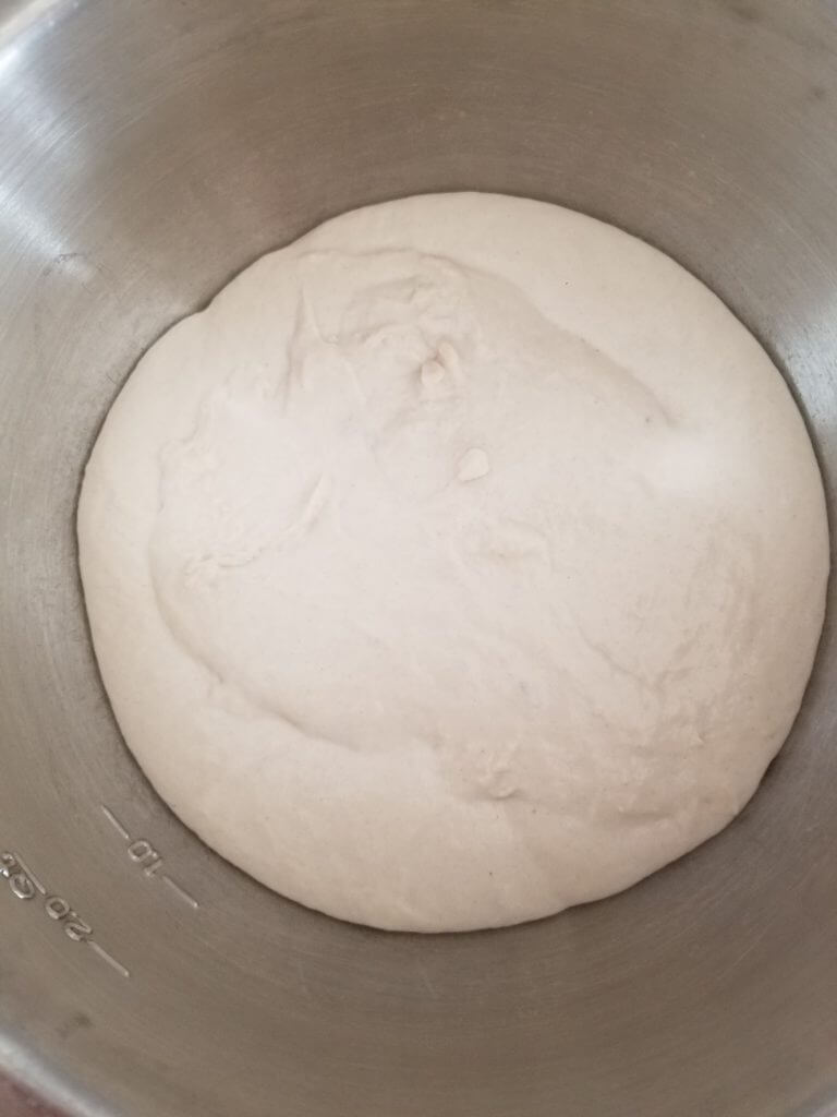 risen ciabatta dough in a bowl