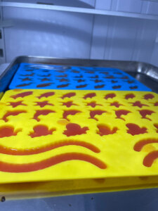 2 ingredient homemade gummy worms setting in the fridge