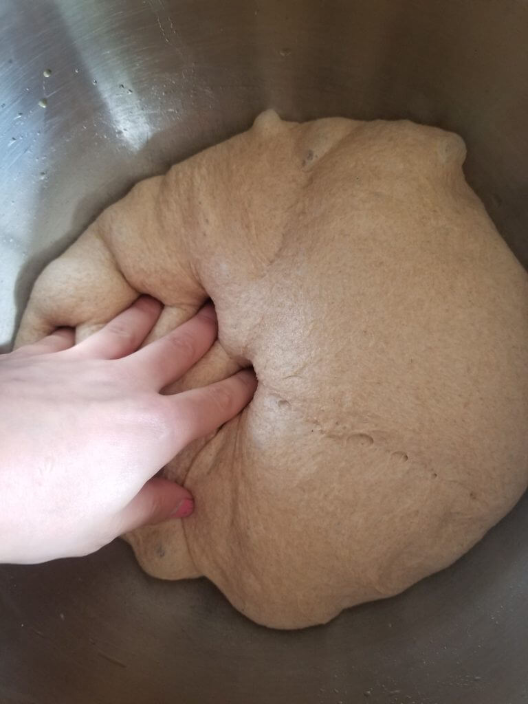 whole wheat ciabatta bread dough puffy