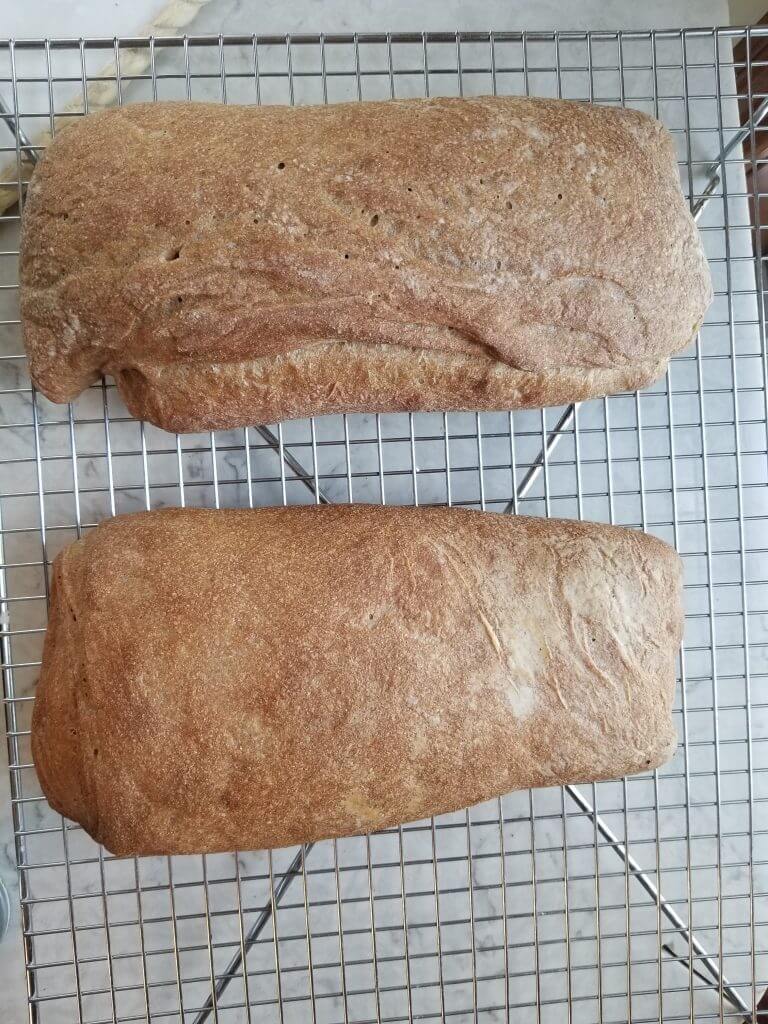 how to make whole wheat ciabatta bread