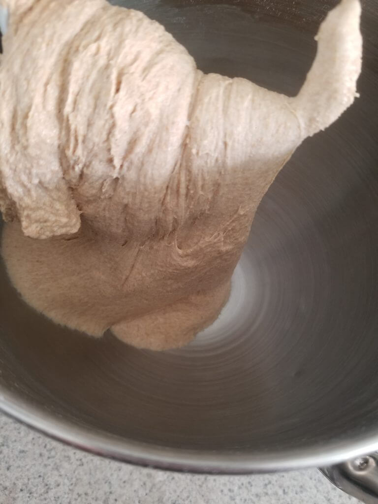 showing the strength of the whole wheat ciabatta bread dough on the hook in a standing mixer