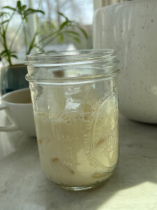 soy milk with ice