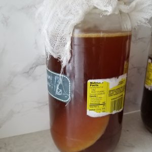 fermenting kombucha with a cheesecloth on top