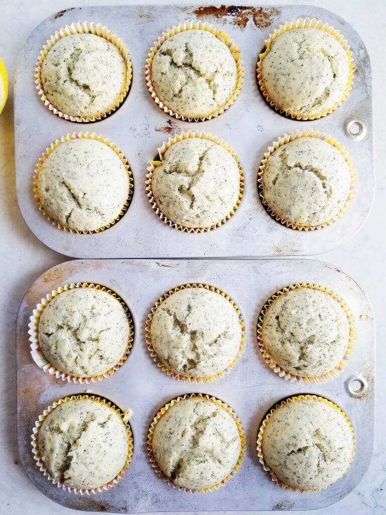 sourdough discard lemon poppy seed muffin recipe