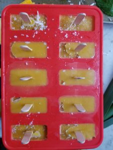 frozen popsicles in molds