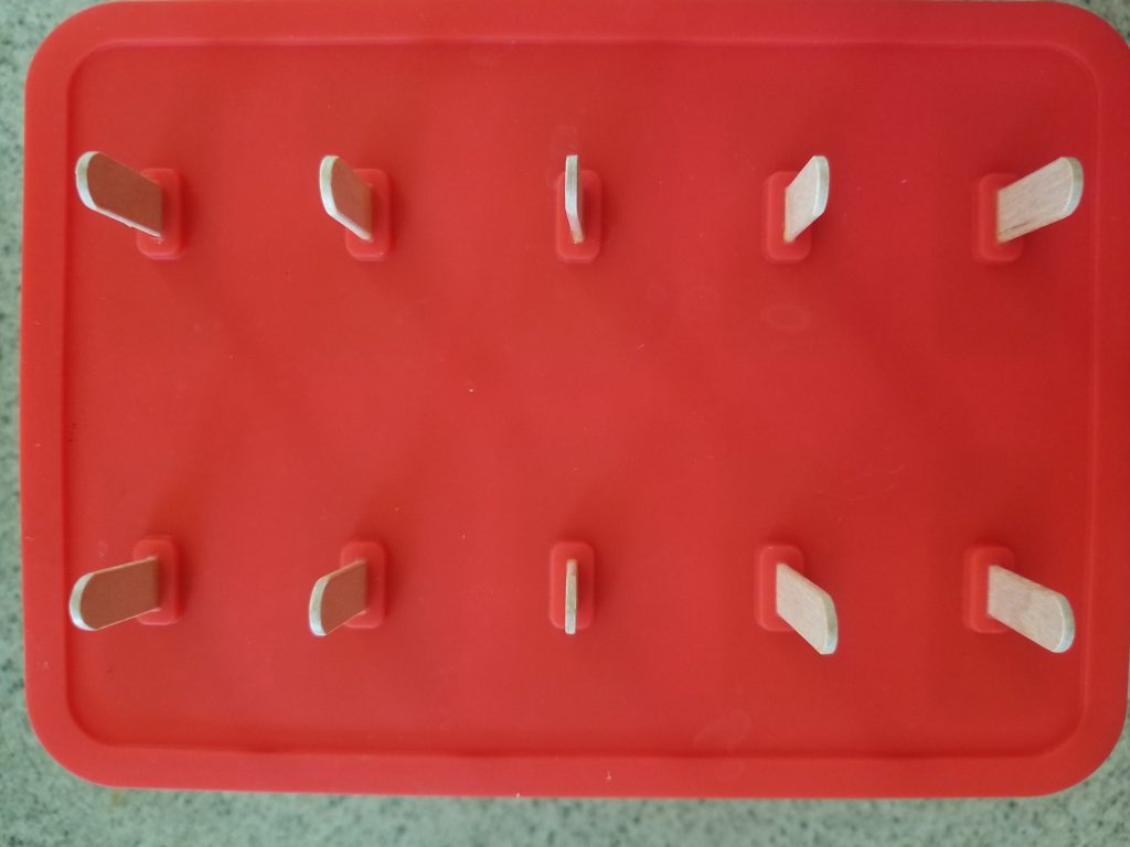 popsicle mold container with popsicle sticks added