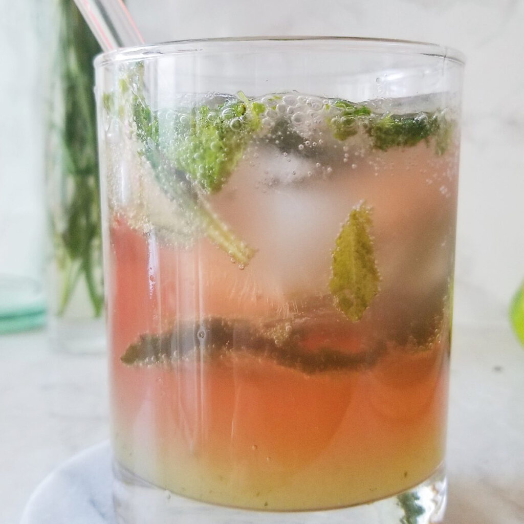 Probiotic Mocktail Recipe