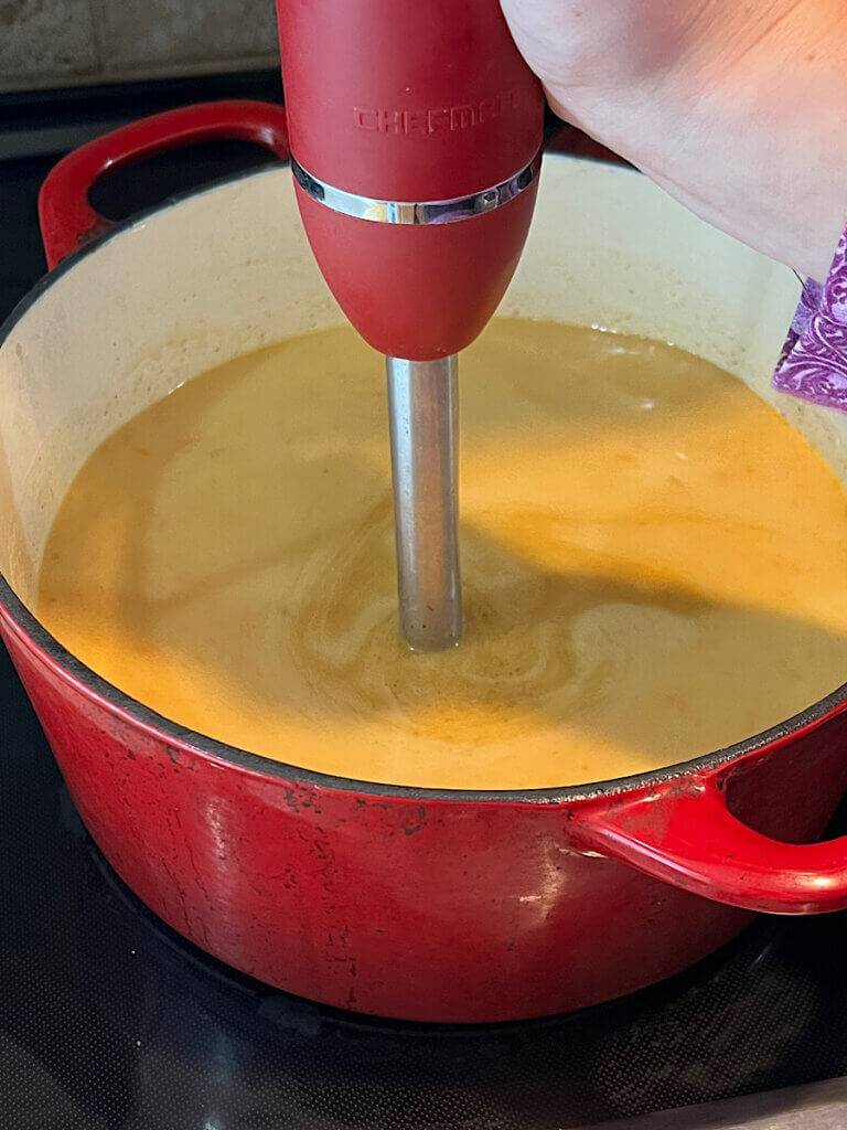 pureed roasted acorn squash soup with coconut milk