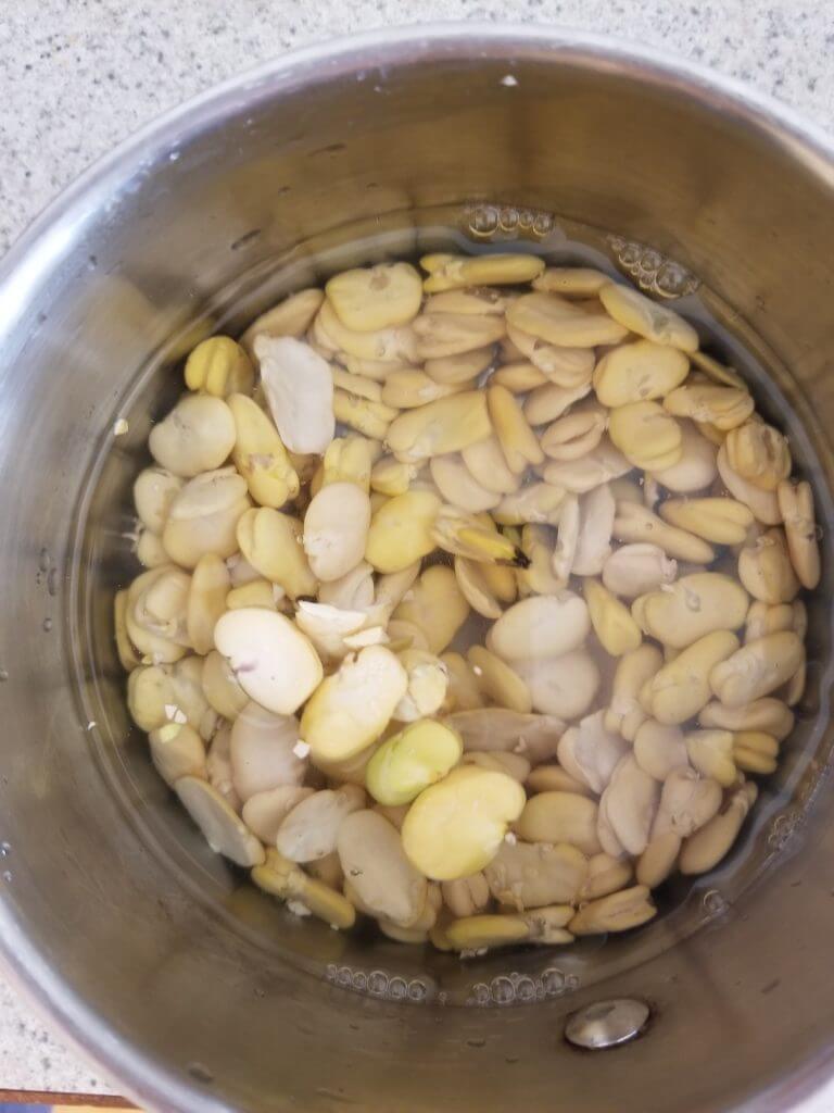 Fava beans in a large sauce pan with water