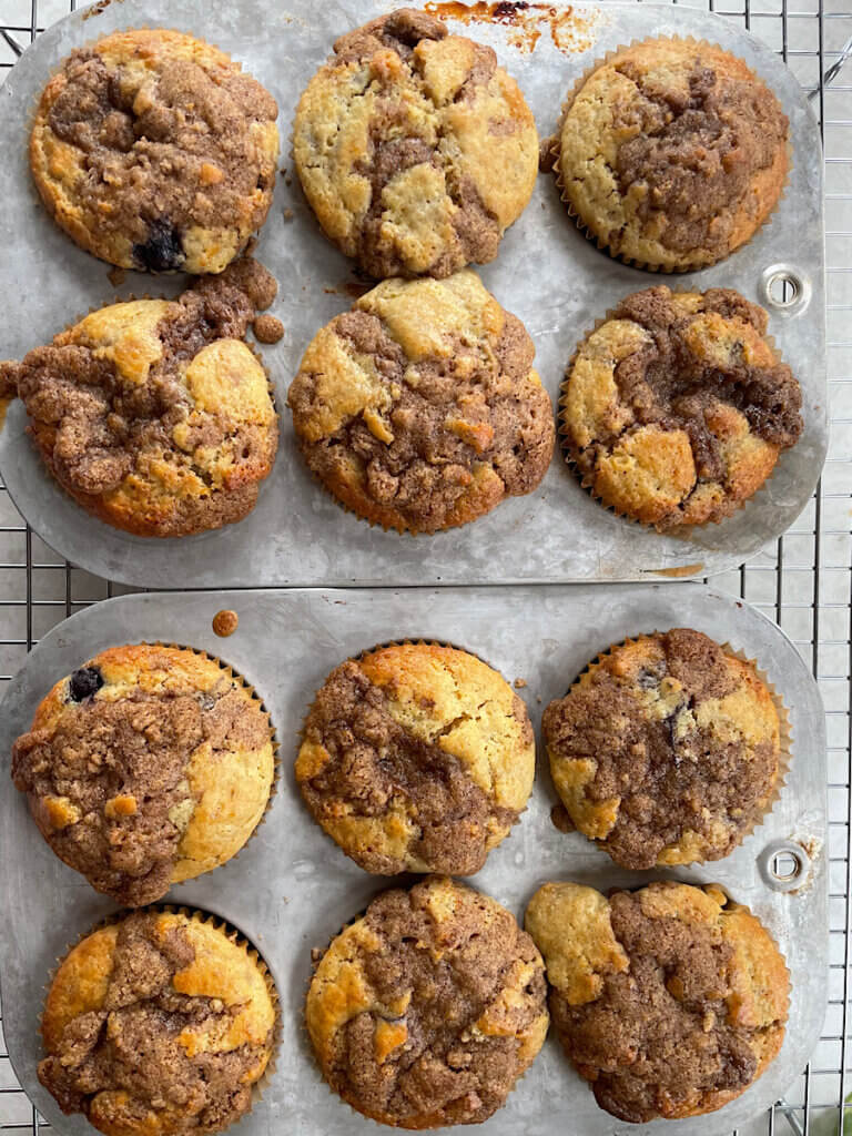sourdough discard blueberry muffins
