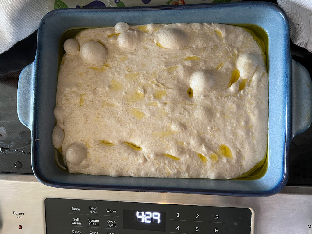 bubbly sourdough focaccia dough