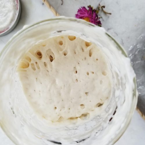 sourdough starter in a mason jar