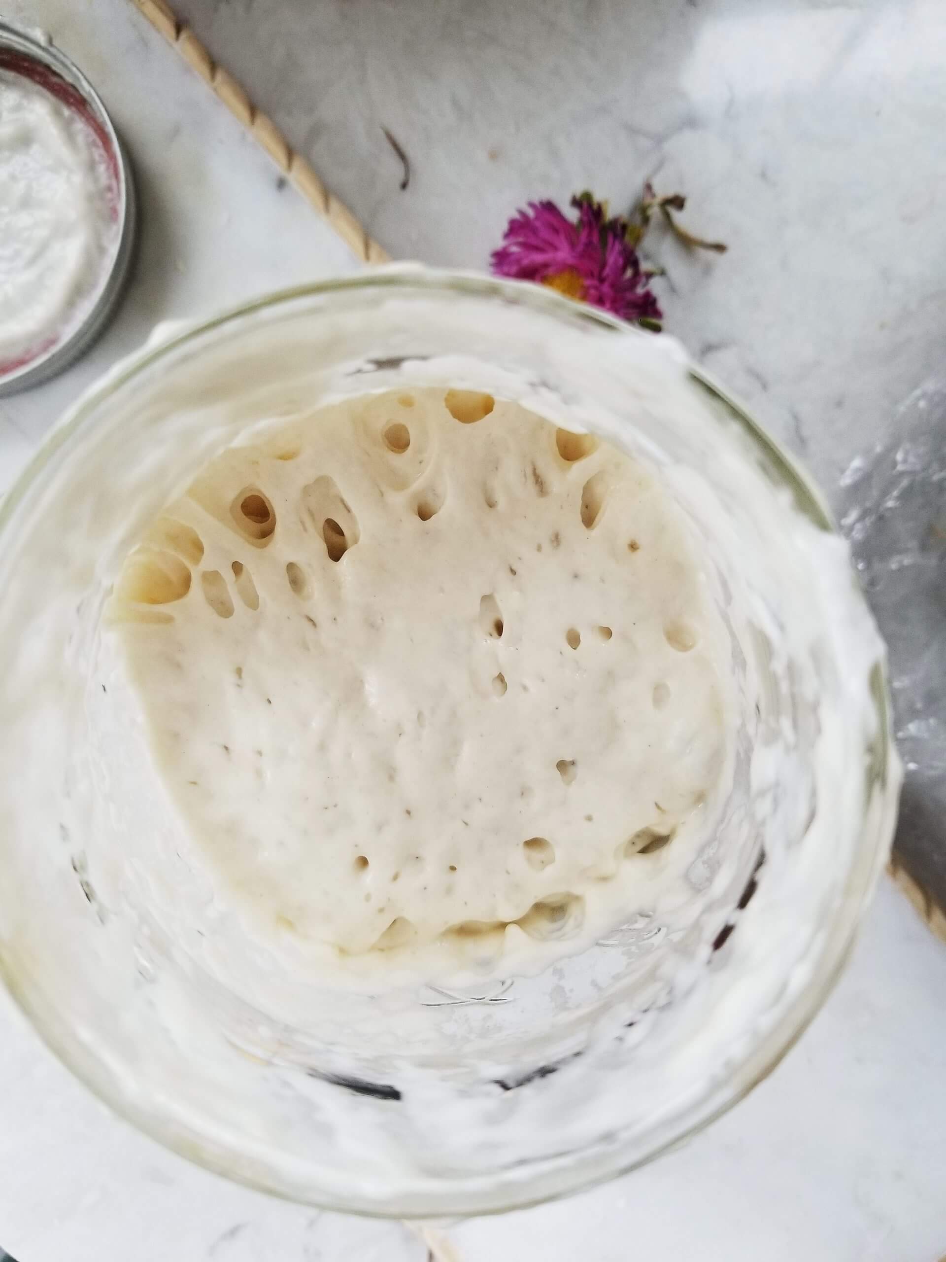 sourdough starter in a mason jar