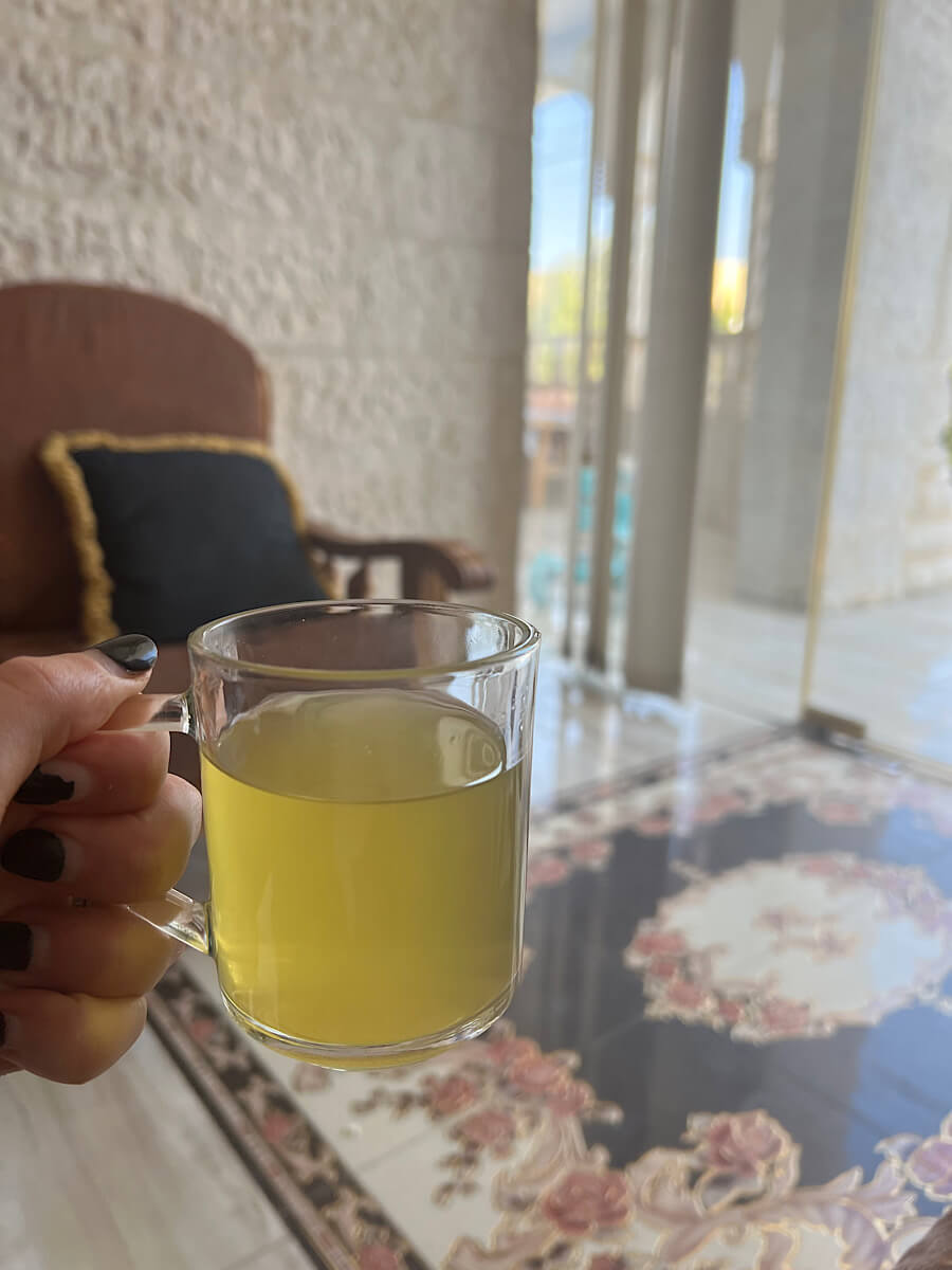 travelers bug tea in Jordan