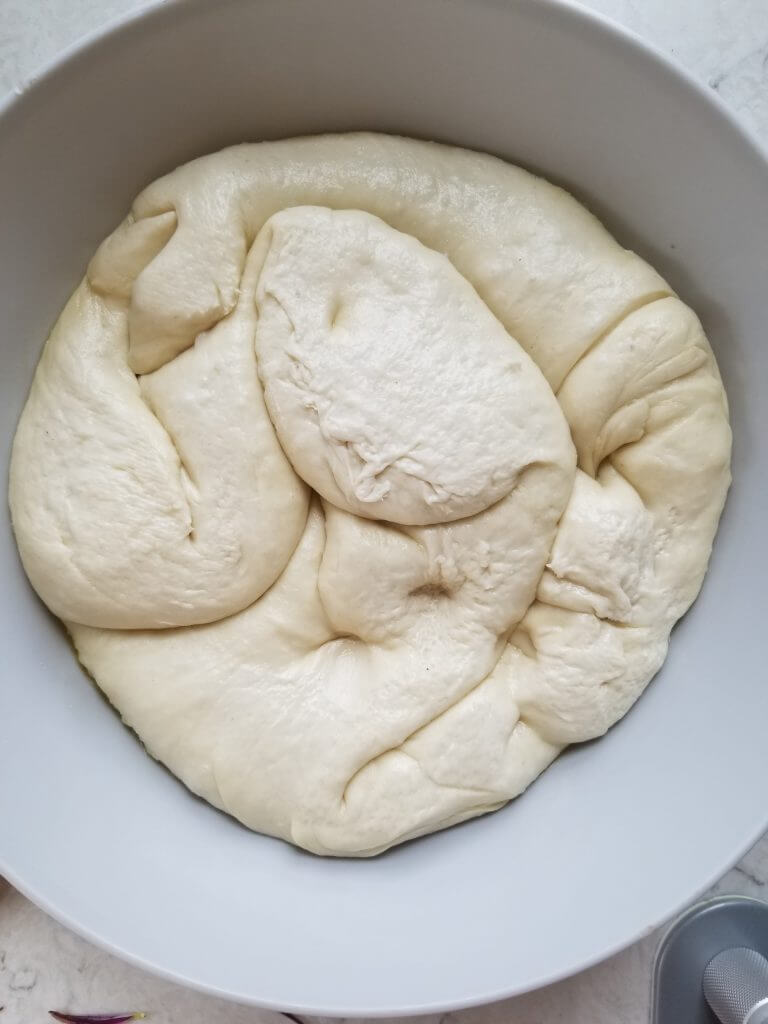 vegan sourdough dough