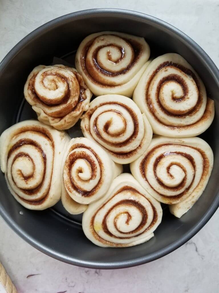 vegan sourdough cinnamon rolls before baking in a springform pan