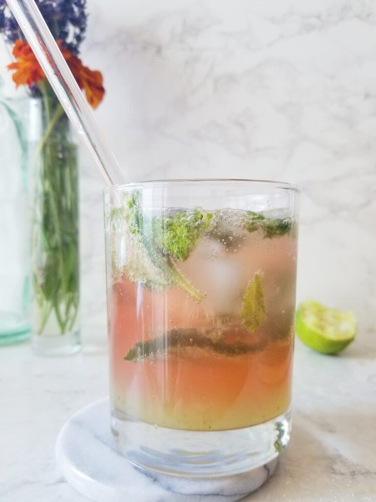 Probiotic Kombucha Mojito Mocktail